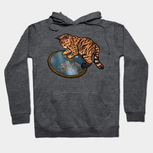 Tiger Tabby Mirror Hoodie